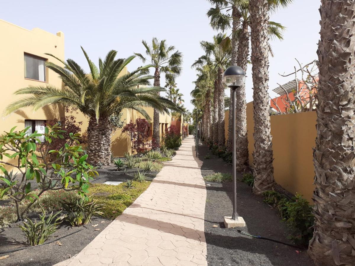 شقة Oasis Waves House Papagayo كوراليهو المظهر الخارجي الصورة