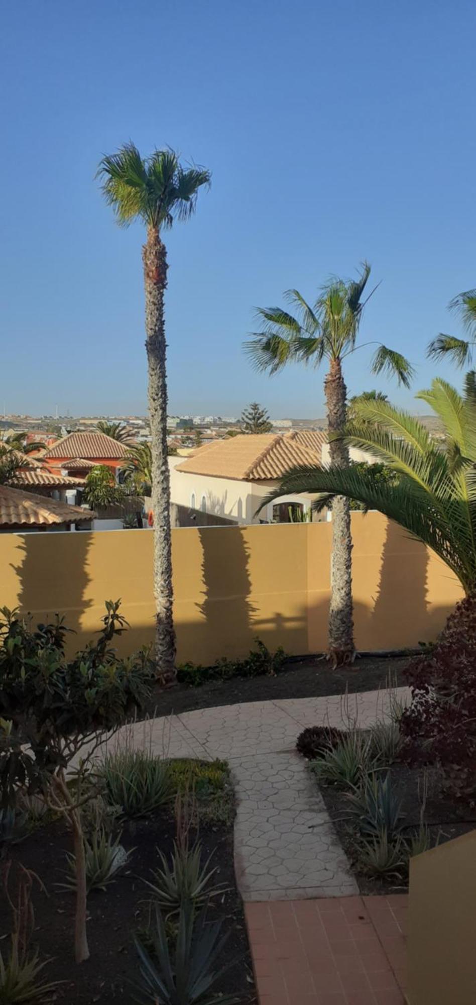 شقة Oasis Waves House Papagayo كوراليهو المظهر الخارجي الصورة