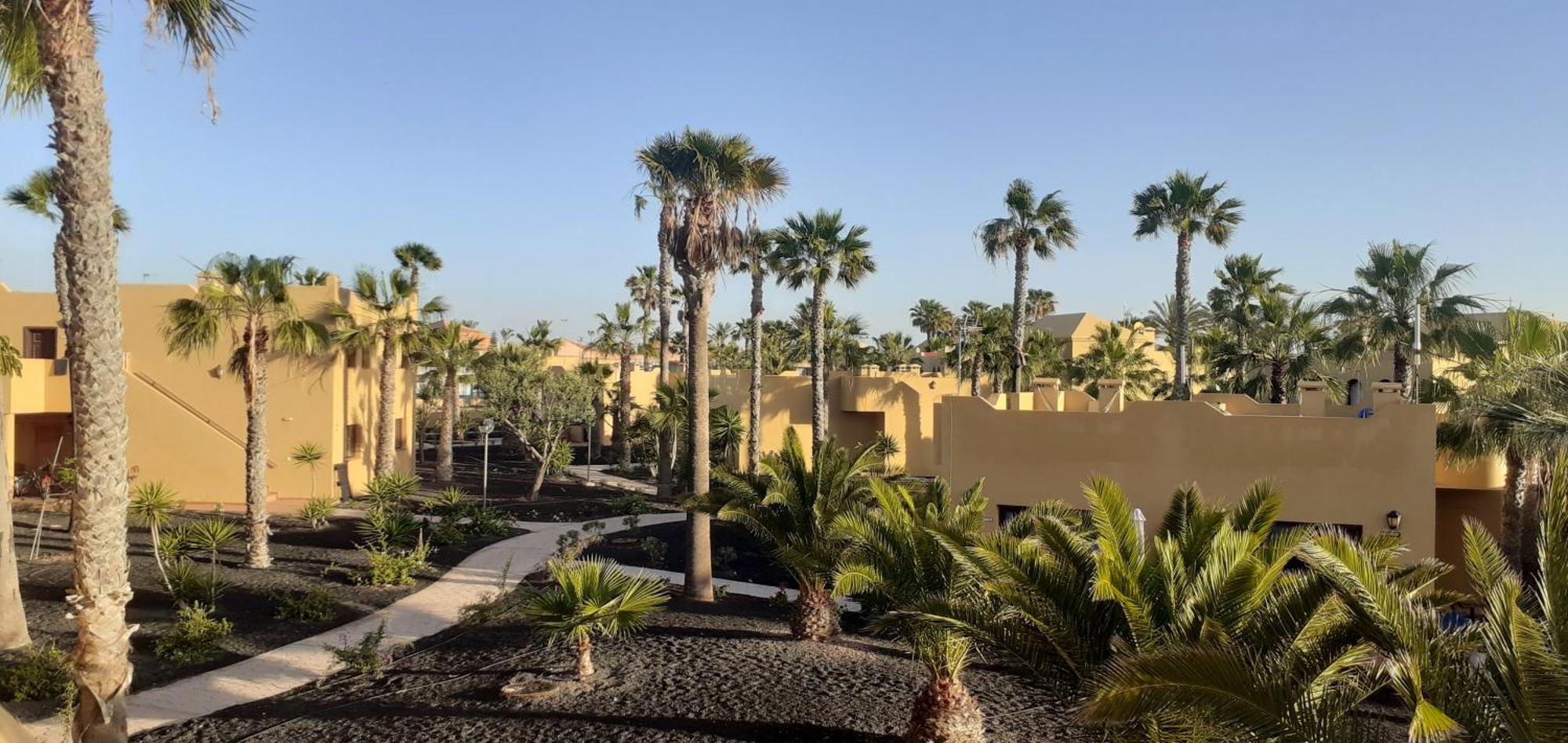 شقة Oasis Waves House Papagayo كوراليهو المظهر الخارجي الصورة