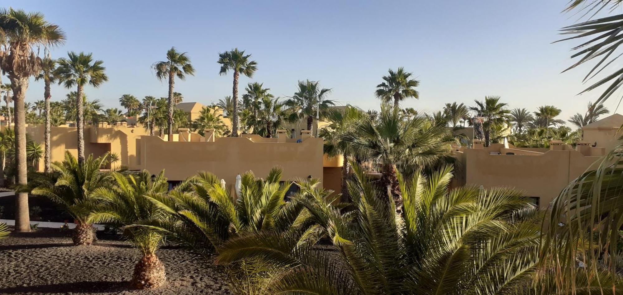 شقة Oasis Waves House Papagayo كوراليهو المظهر الخارجي الصورة